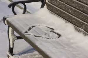 Benches in the winter city park