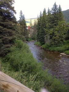 IMG_3240
