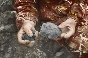 Black Soil For Planting  In Man Hands