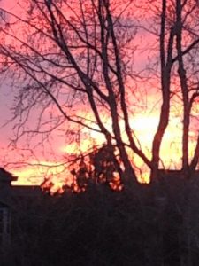 1655938_10205005049433299_4006319729113392798_n