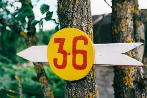 Creative signpost