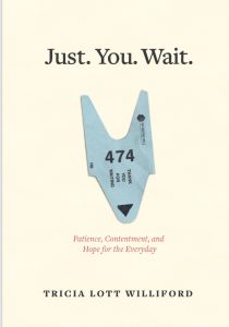 Just You Wait COVER