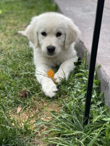 1BBEA714-76B3-4459-A1B2-8B797B841B1A