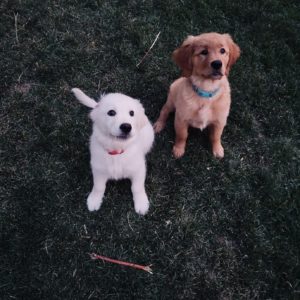 5C0AB8CA-7E62-4156-B992-1361CE31E4D9