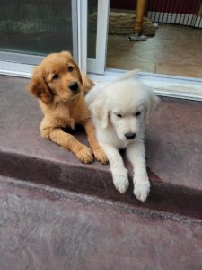 A85C3340-C3B3-4E0C-974B-49C239F39CD7