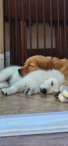 BB1CE397-7048-4B09-A2EA-F4A772F58128