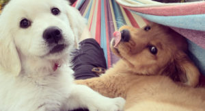 D3ABA37C-8A7E-4583-8292-44DB94E1F49F